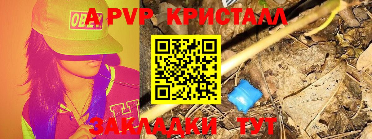 Галлюциногенные грибы Кизилюрт