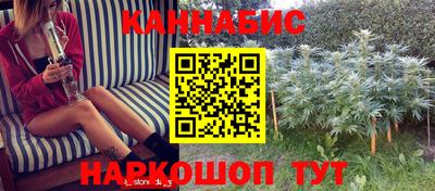 сатива Гусев
