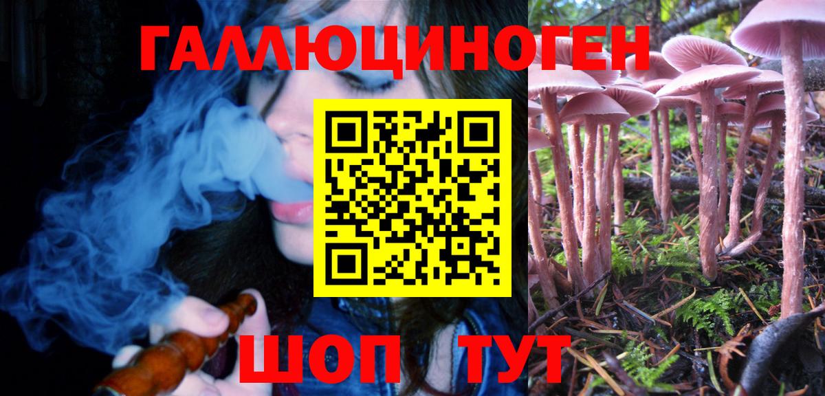 Псилоцибиновые грибы Psilocybine cubensis  Вход с VPN  Кизилюрт 