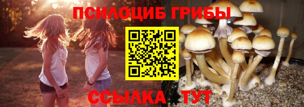 Галлюциногенные грибы Magic Shrooms Кизилюрт